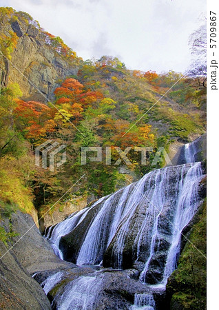 袋田の滝 紅葉 縦位置 袋田の滝 紅葉 縦位置 5709867