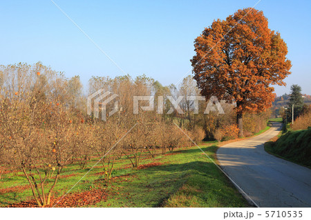 Fall in Piedmont. 5710535