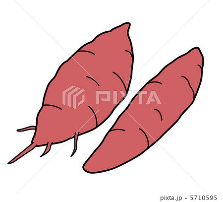 さつまいも 5710595