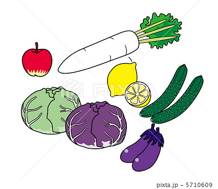 野菜と果物 ビタミンc 無機質など のイラスト素材