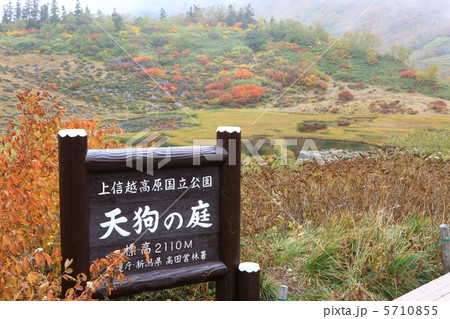 天狗の庭 5710855