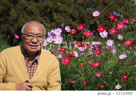 コスモスとおじいちゃん 5712495