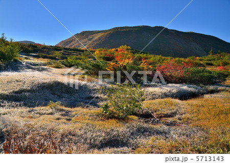 高原の朝霜 5713143