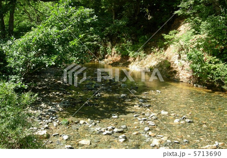夏の川 夏の川 5713690