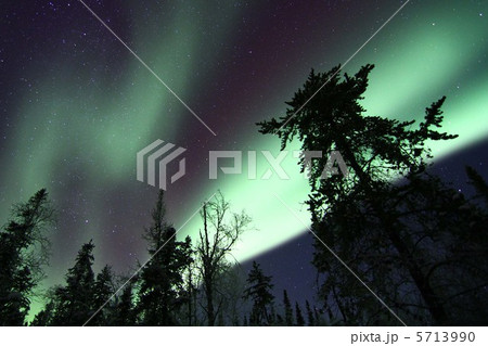 Aurora 5713990