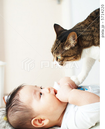 赤ちゃんと猫 5714220