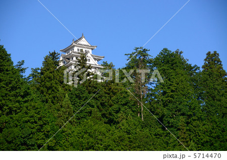 岐阜　郡上八幡城 5714470