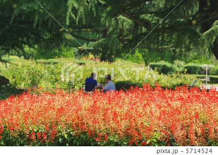 幸せな夫婦 5714524