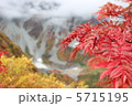 涸沢の紅葉 5715195