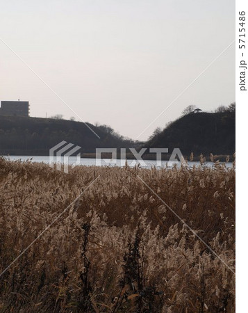 秋の春採湖 5715486