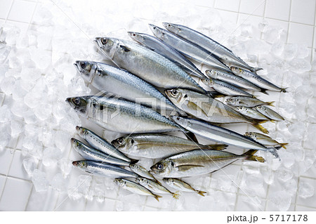 鮮魚 5717178