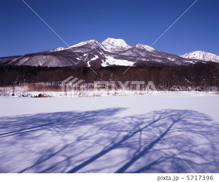 厳冬のイモリ池 5717396