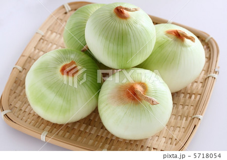 玉葱 5718054