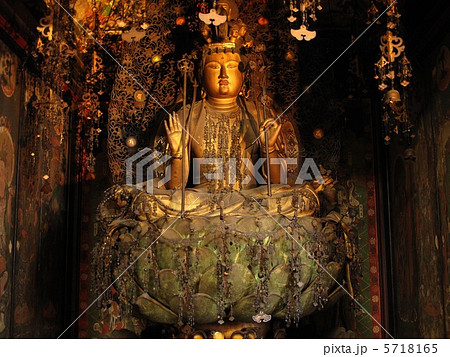 法金剛院 5718165