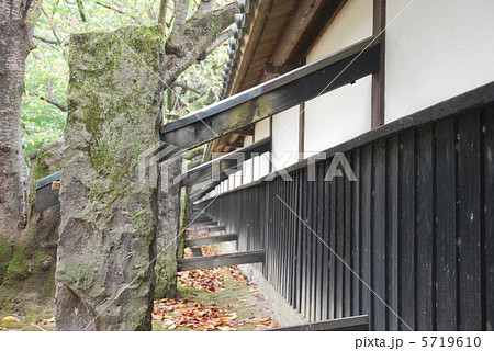 【日本100名城】【特別史跡】熊本城　重要文化財の長塀1　熊本県熊本市中央区 5719610