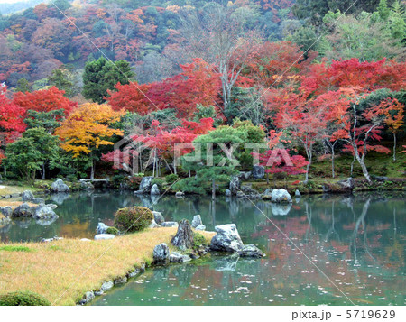 天竜寺庭園 洛西 晩秋 モミジ 和 秋 紅葉 黄葉 天竜寺庭園 洛西 晩秋 モミジ 和 秋 紅葉 黄葉 5719629