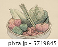 野菜 5719845