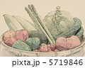 野菜 5719846