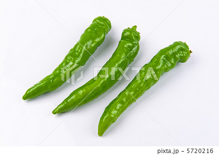 万願寺とうがらし3本 万願寺とうがらし3本 5720216