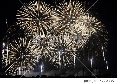 NARITA花火大会　花火 5720335