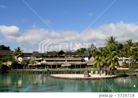 タヒチ タヒチ 5720718