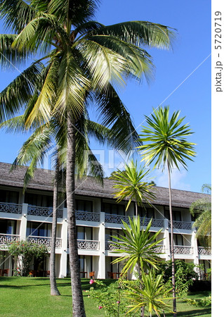 タヒチ タヒチ 5720719