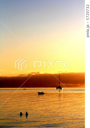 タヒチ タヒチ 5720732