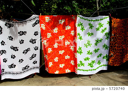 タヒチ タヒチ 5720740