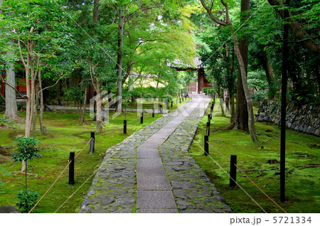 鹿王院の参道 5721334