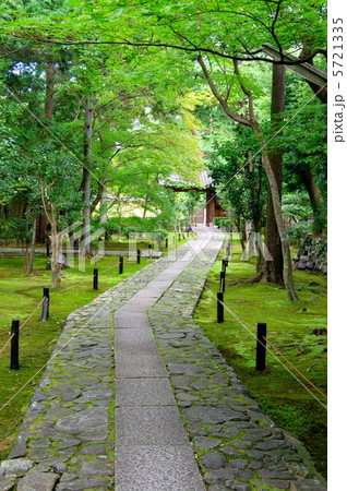 鹿王院の参道 5721335