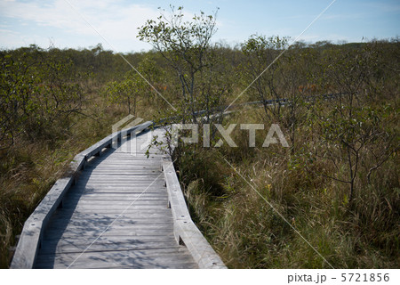 釧路湿原 5721856