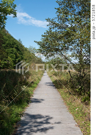 釧路湿原 5721858