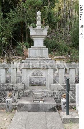 養珠院の墓 養珠院の墓 5721970