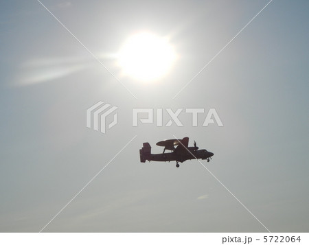 西日がホークアイを照らす-2 5722064