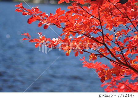 紅葉 紅葉 5722147