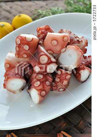 タコブツ 5722733