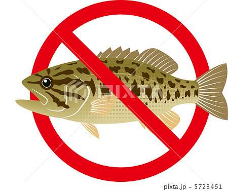 Nogairaigyo Kokuchibassのイラスト素材