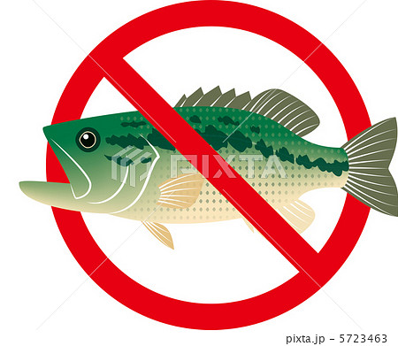 NoGairaigyo_Ookuchibass NoGairaigyo_Ookuchibass 5723463