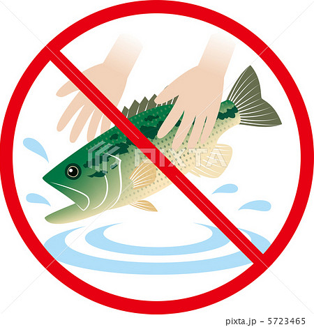 NoRelease_Ookuchibass 5723465