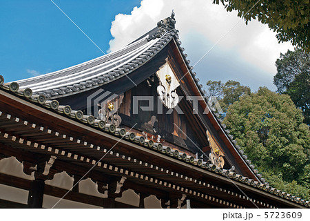 宝塔寺 本堂 宝塔寺 本堂 5723609