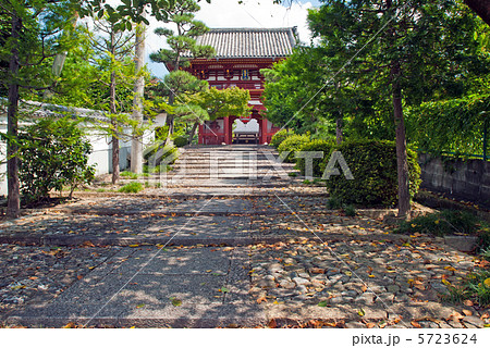 宝塔寺　参道 5723624