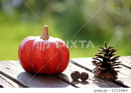 カボチャ 5723964