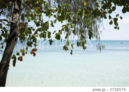 グリーン島の海 5726574