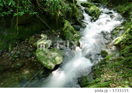 苔むした岩の間を流れる沢 5735155