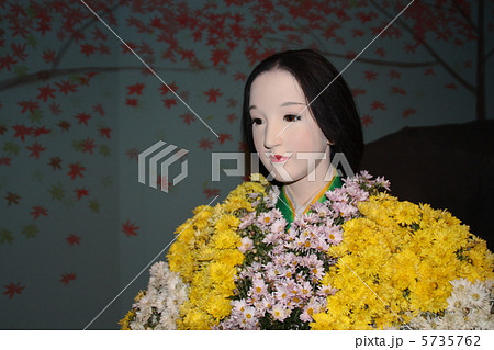 菊人形 菊人形 5735762
