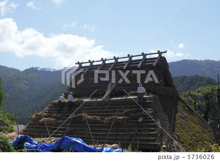 茅葺屋根の葺き替え 5736026