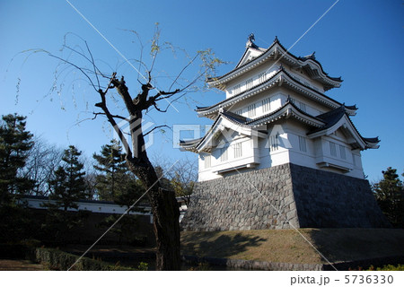 忍城の天守閣（行田市／埼玉県） 5736330