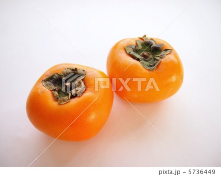 柿2つ 柿2つ 5736449