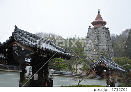 京都 冬の妙満寺 京都 冬の妙満寺 5736705
