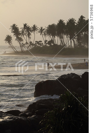 ゴールの海岸 5736968